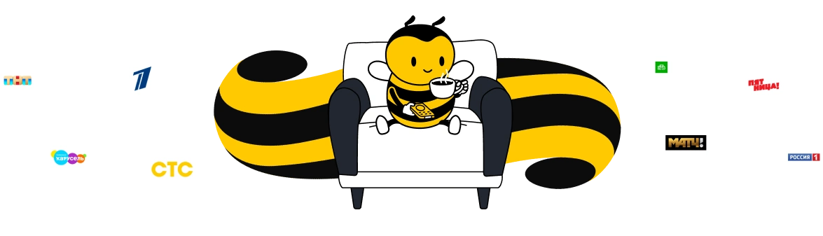 домашнее ТВ билайн в Ставрополе